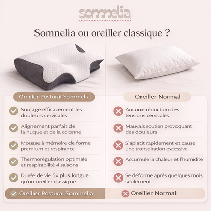 Oreiller ergonomique pour les personnes qui veulent enfin dormir sans douleurs cervicales